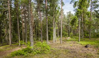 Björklinge Södra Långåsvägen 5