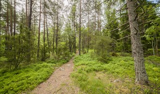 Prästgårdshöjden 1 Prästgårdshöjden 1